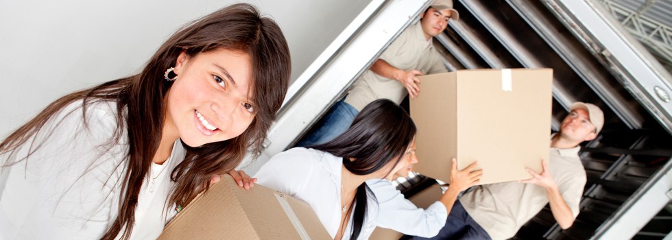 Professional Removalists Rhydding